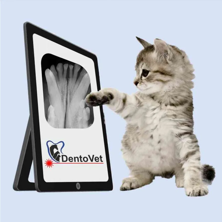 Dentovet