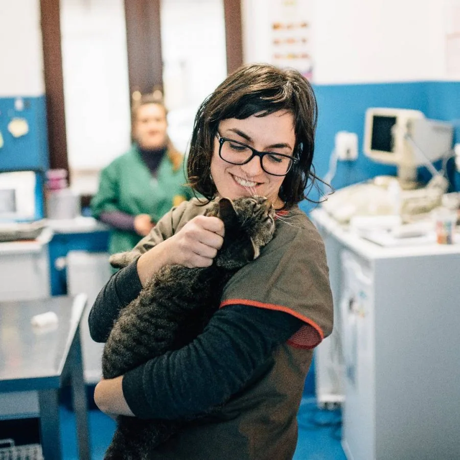 Vital Vet