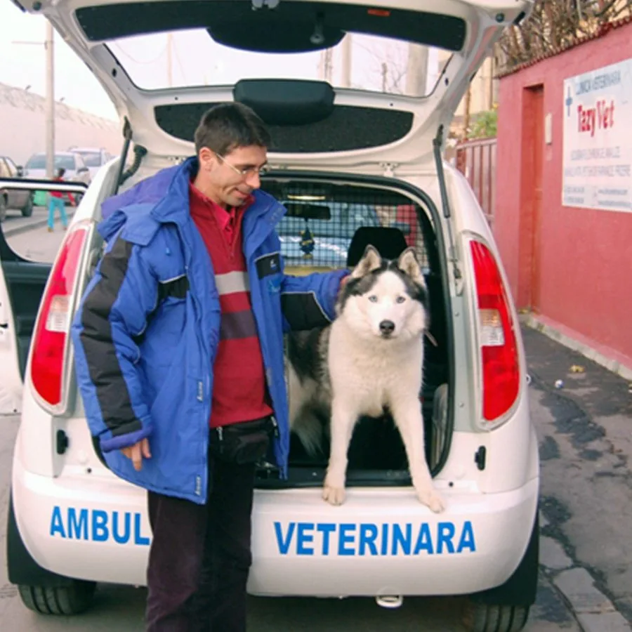 Tazy Vet