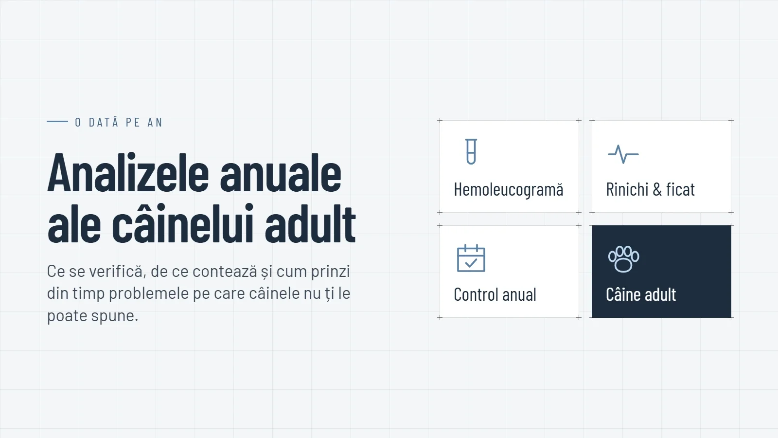 Ce analize se fac anual la un câine adult și de ce contează