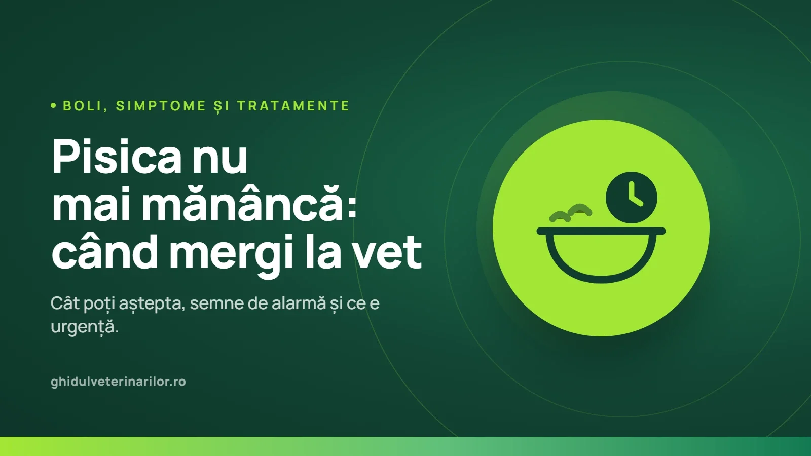 Când trebuie dusă pisica la veterinar după ce nu mai mănâncă